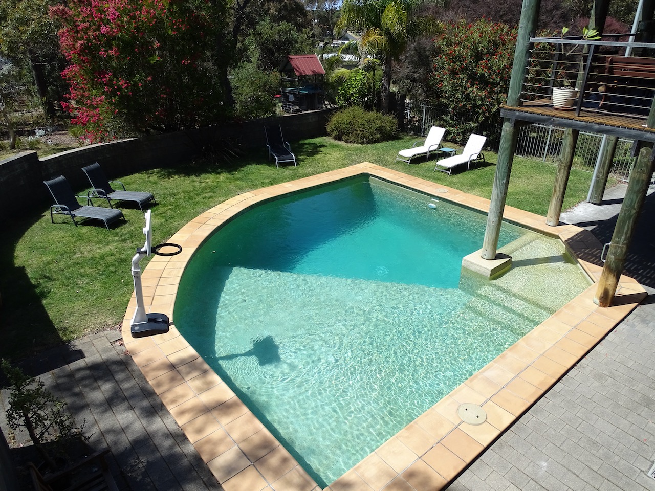 solar heated pool