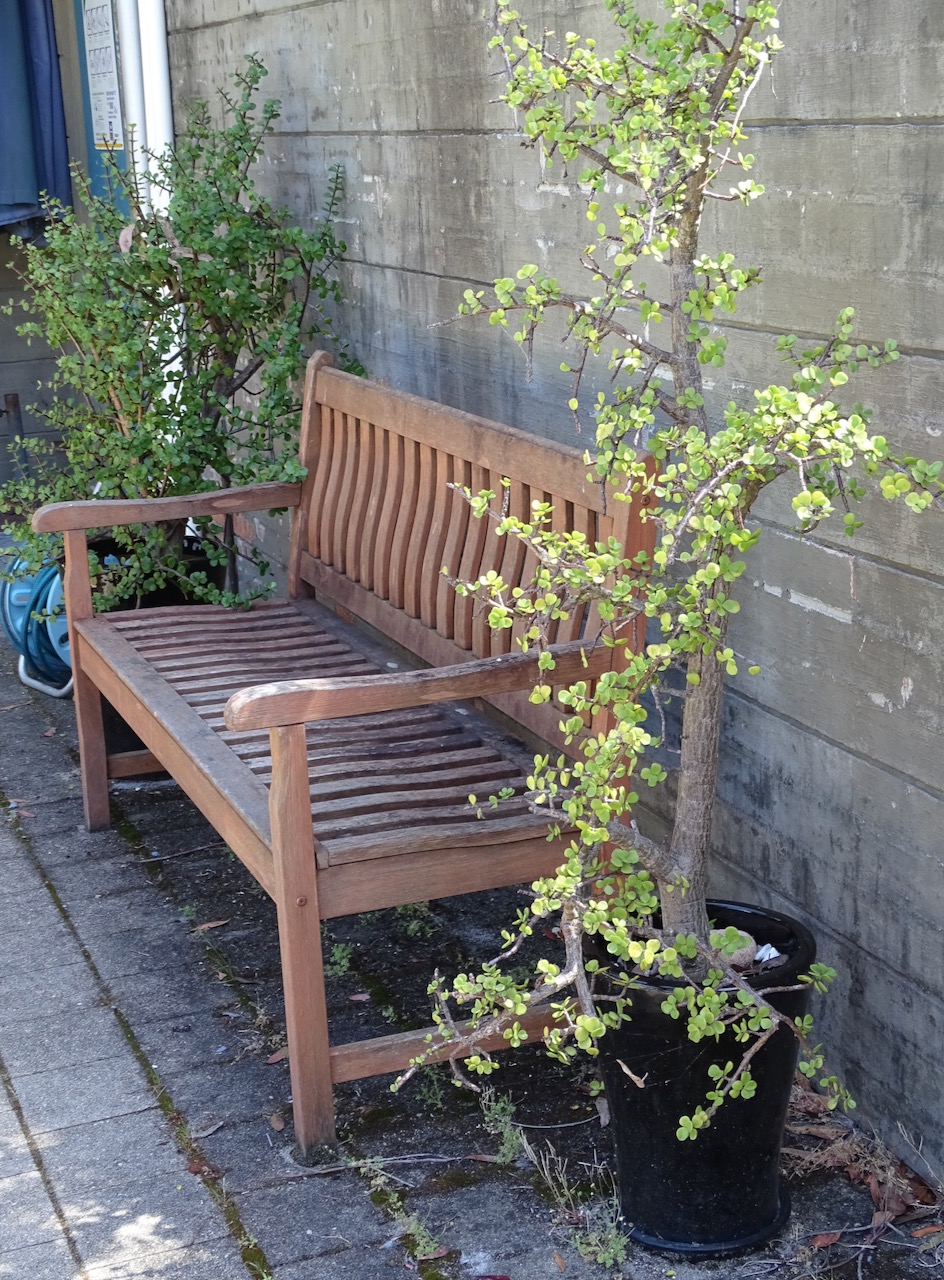 garden bench