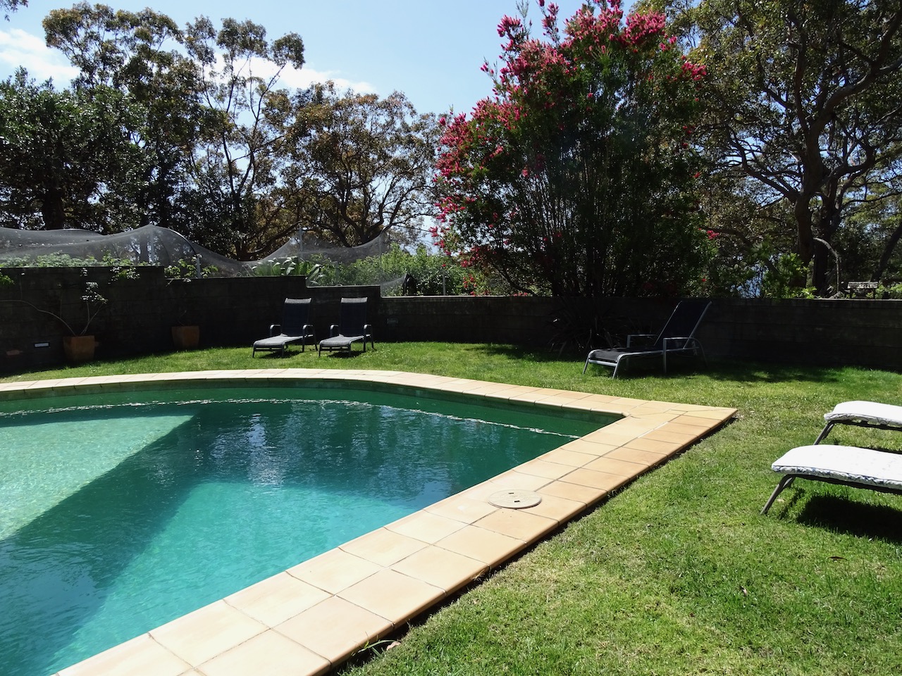 pool view
